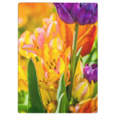 Tulpen voor 01 klembord (Achterkant)