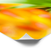Tulpen voor 01 poster (Hoek)