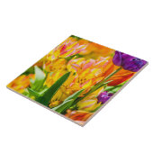 Tulpen voor 01 tegeltje (Zijkant)