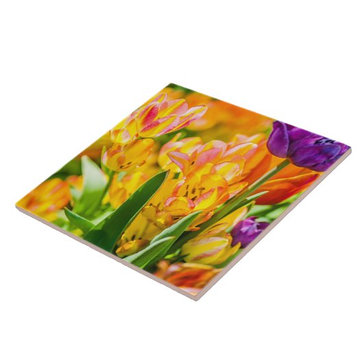 Tulpen voor 01 tegeltje (Zijkant)