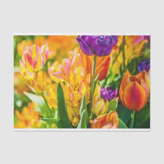 Tulpen voor 01 tissuepapier (Voorkant)