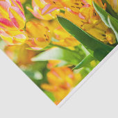 Tulpen voor 01 tissuepapier (Detail)