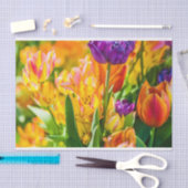 Tulpen voor 01 tissuepapier (Craft)