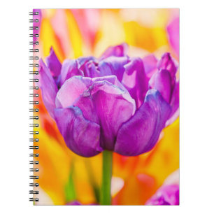 Tulpen voor 06 notitieboek