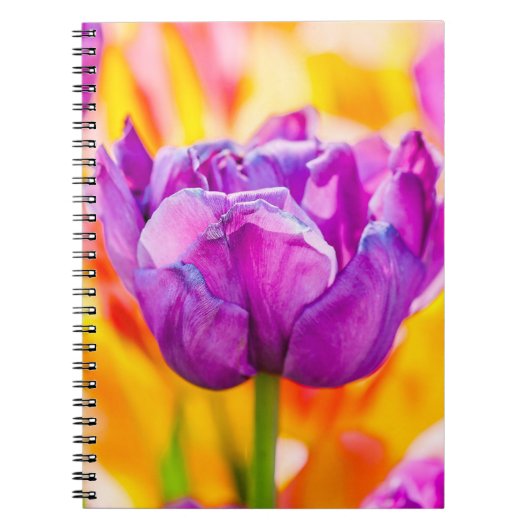 Tulpen voor 06 notitieboek (Voorkant)