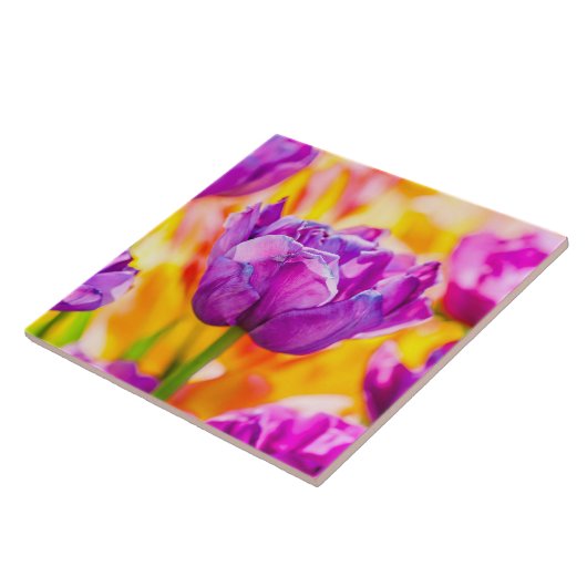 Tulpen voor 06 tegeltje (Zijkant)