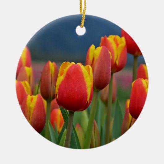 Tulpen voor mam keramisch ornament (Voorkant)