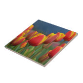 Tulpen voor mam tegeltje (Zijkant)