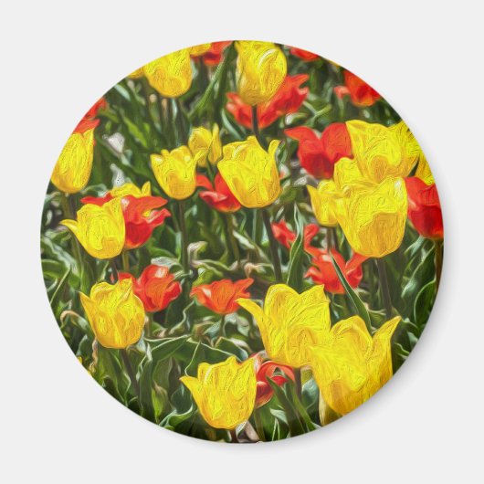 Tulpen voor rood en geel magneet (Voorkant)