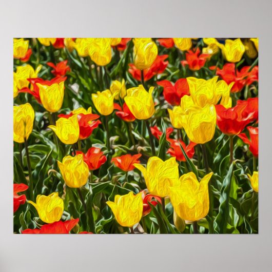 Tulpen voor rood en geel poster (Voorkant)