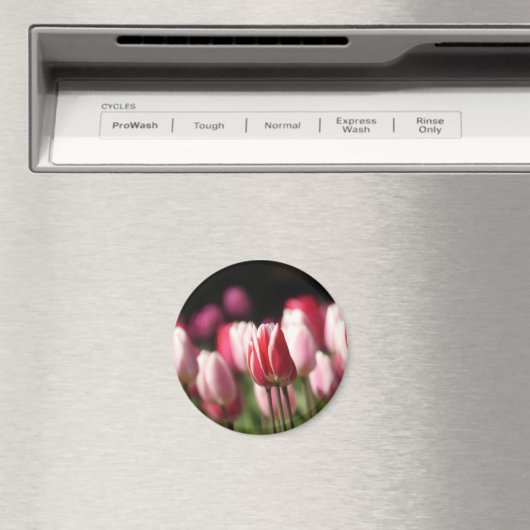 Tulpen voor rood en wit en roze magneet (Insitu (Vaatwasser))