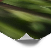 Tulpen voor rood en wit en roze poster (Hoek)