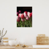 Tulpen voor rood en wit en roze poster (Keuken)