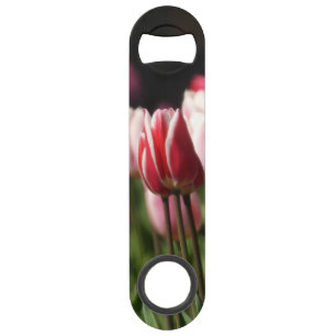 Tulpen voor rood en wit en roze speed flessenopener