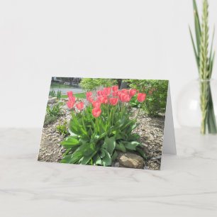 Tulpen worden snel gezond kaart