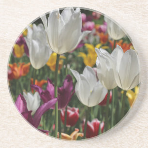 Tulpen Zandsteen Onderzetter