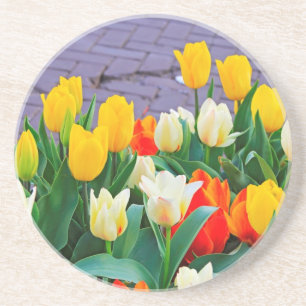 Tulpen Zandsteen Onderzetter