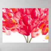 "Tulpen zijn mensen II" Poster (Voorkant)
