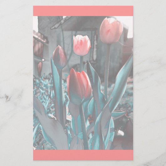 Tulpenbakkerij Briefpapier (Voorkant)