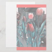 Tulpenbakkerij Briefpapier (Voorkant / Achterkant)