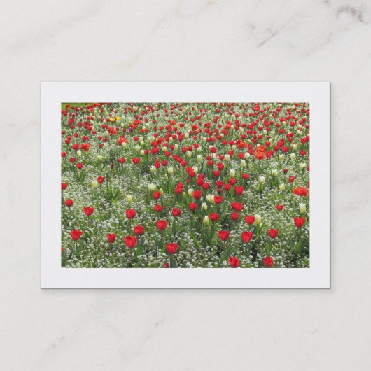 Tulpenbende (Borded) Visitekaartje (Voorkant)