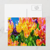 Tulpenbloemen - Bloeien Briefkaart (Voorkant / Achterkant)