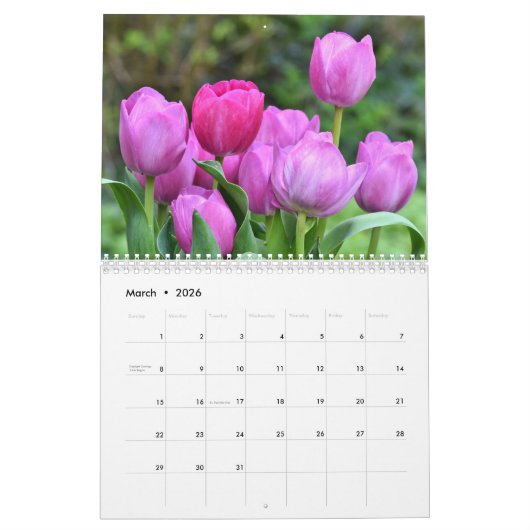 Tulpenbloemen bloeien in een prachtige tuin natuur kalender (Mar 2026)