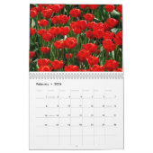 Tulpenbloemen bloeien in een prachtige tuin natuur kalender (Feb 2026)