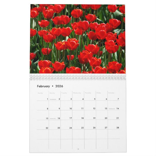Tulpenbloemen bloeien in een prachtige tuin natuur kalender (Feb 2026)