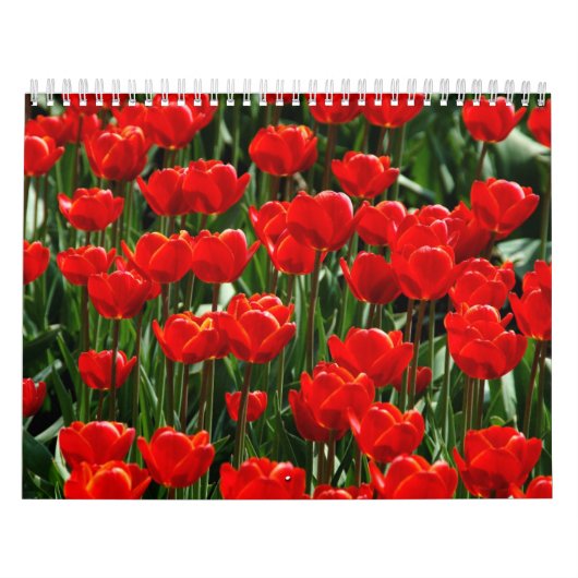 Tulpenbloemen bloeien in een prachtige tuin natuur kalender (Hoes)