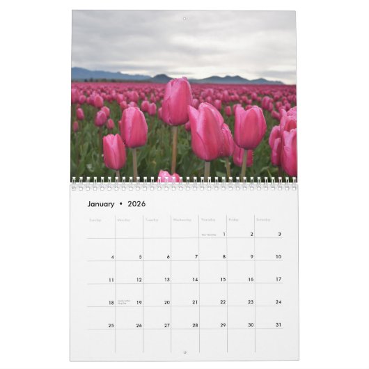 Tulpenbloemen bloeien in een prachtige tuin natuur kalender (Jan 2026)