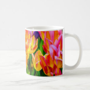 Tulpenbloemen - Bloeien Koffiemok