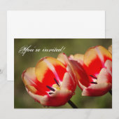 Tulpenbloemen uitnodiging (Voorkant / Achterkant)