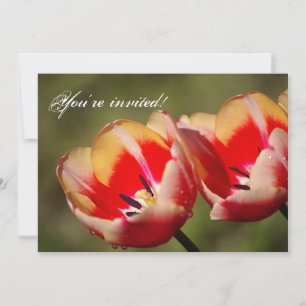 Tulpenbloemen uitnodiging