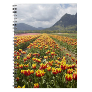 Tulpenboerderij bij Agassiz, Brits-Columbia, Notitieboek