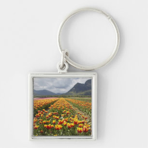 Tulpenboerderij bij Agassiz, Brits-Columbia, Sleutelhanger