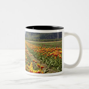 Tulpenboerderij bij Agassiz, Brits-Columbia, Tweekleurige Koffiemok