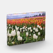 Tulpenboerderij Fotoblokken (Links)