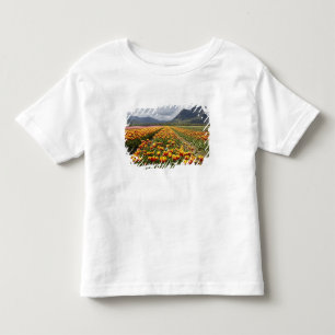 Tulpenboerderij nabij Agassiz, Brits-Columbia, Kinder Shirts