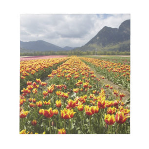 Tulpenboerderij nabij Agassiz, Brits-Columbia, Notitieblok