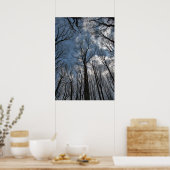 Tulpenbomen Bewolkte Blauwe Lucht Poster (Keuken)