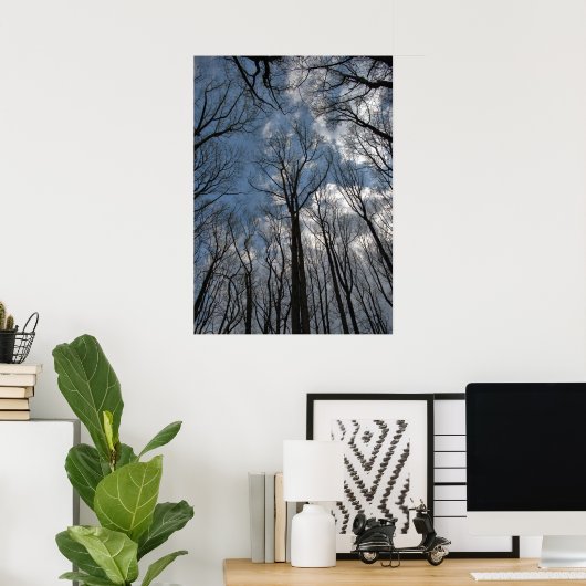Tulpenbomen Bewolkte Blauwe Lucht Poster (Thuiskantoor)