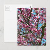 Tulpenboom Briefkaart (Voorkant / Achterkant)