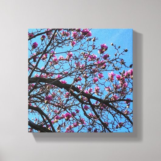 Tulpenboom Canvas Afdruk (Voorkant)