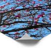 Tulpenboom in bloei poster (Hoek)