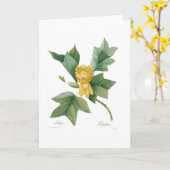 Tulpenboom Kaart (Gele Bloem)