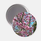 Tulpenboom Magneet (Voorkant / Achterkant)