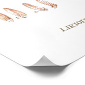 Tulpenboom Poster (Hoek)