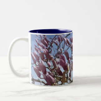 Tulpenboom/saucer Magnolia Blossom Tweekleurige Koffiemok