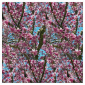 Tulpenboom Stof (Close Up)